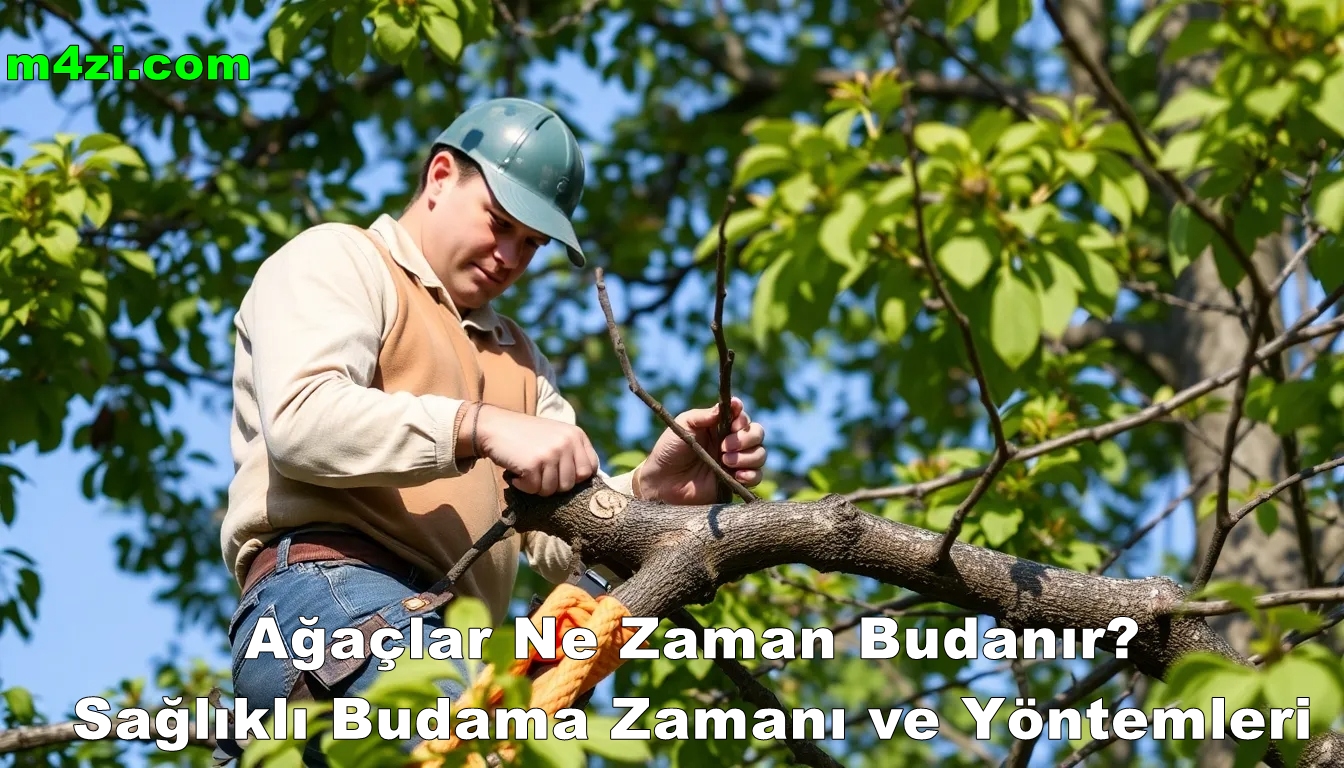 Ağaçlar Ne Zaman Budanır? Sağlıklı Budama Zamanı ve Yöntemleri