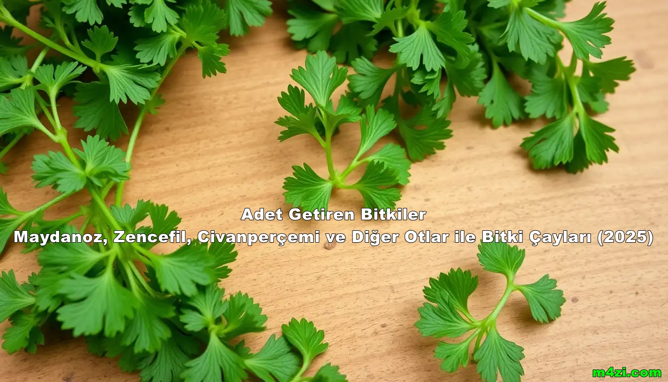 Adet Getiren Bitkiler – Maydanoz, Zencefil, Civanperçemi ve Diğer Otlar ile Bitki Çayları (2025)