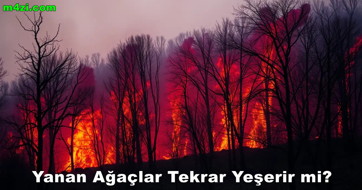 Yanan Ağaçlar Tekrar Yeşerir Mi?
