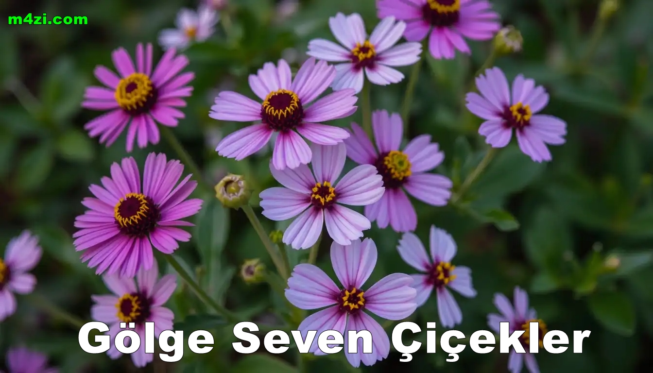 Gölge Seven Çiçekler